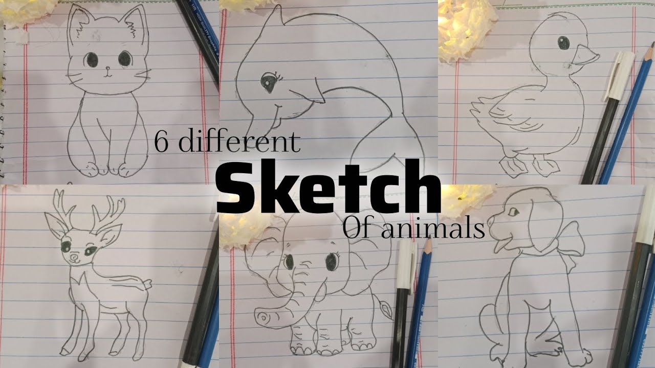 Part-01 |6 Sketch of different animals |How to draw |Step by Step Explanation|Faizaartandcraft