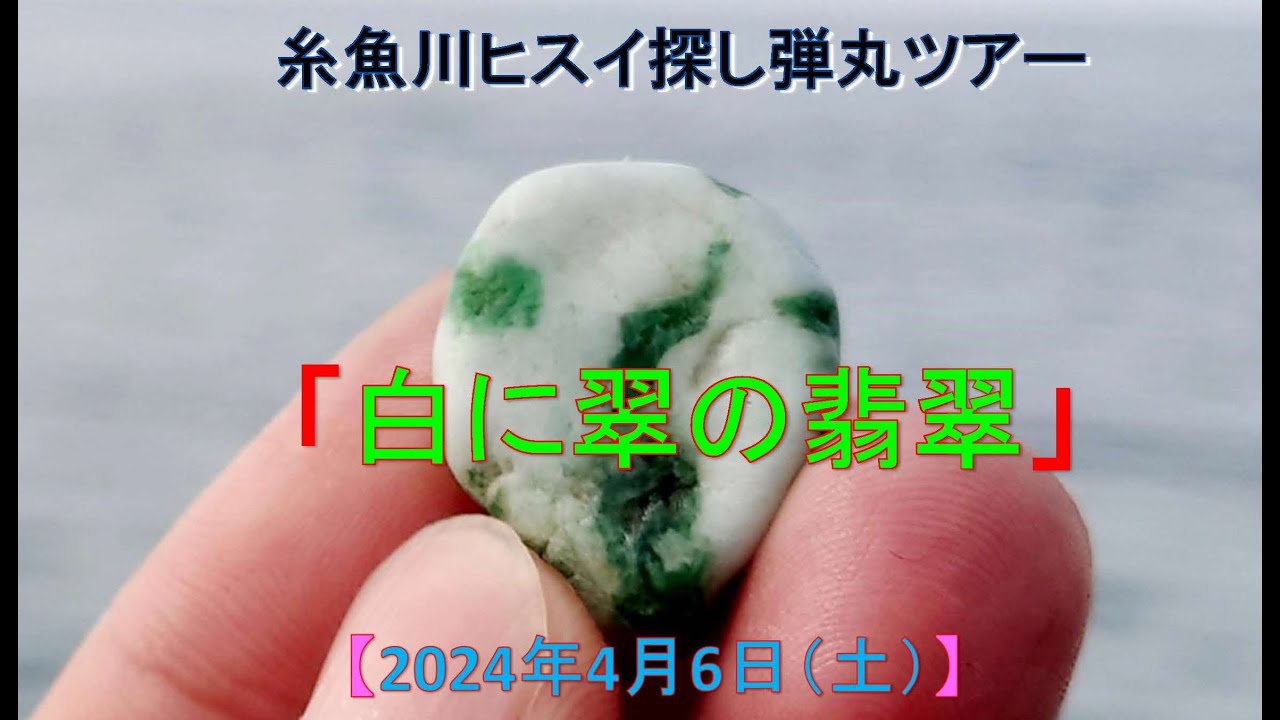2024年4月6日【早春の翡翠拾い】