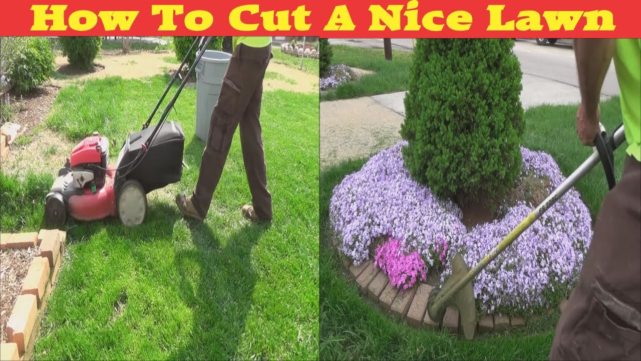 How To Get A Nice Lawn Back In Shape Satisfying ASMR First Cut Of Season