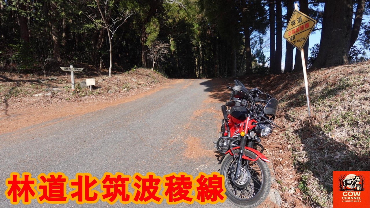 【COW】林道北筑波稜線