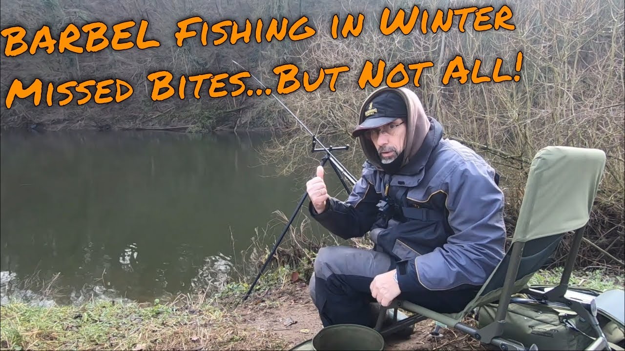 Pêche du BARBEAU en hiver | touches ratées mais pas toutes ! | Pêche au feeder sur l'Ourthe | Ep. 16