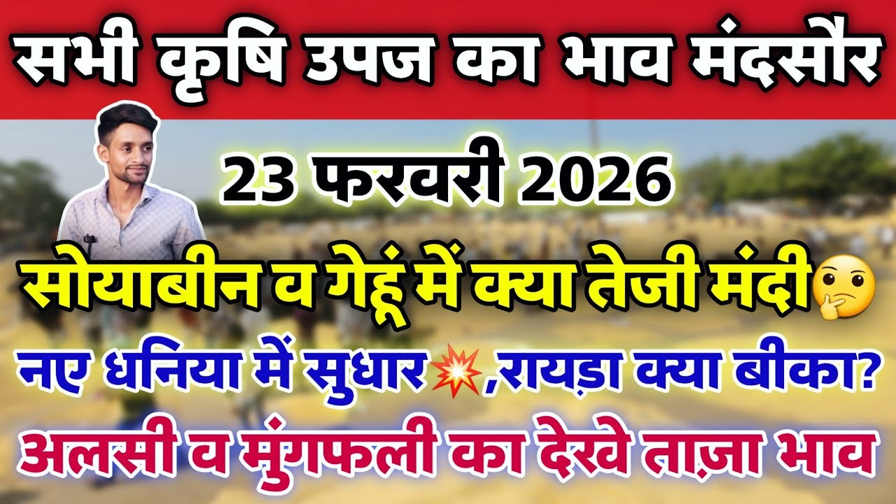 सभी कृषि उपज का भाव मंदसौर मंडी 23 फरवरी 2026 | Mandsaur Mandi ka bhav #mandsaur_mandi_bhav 