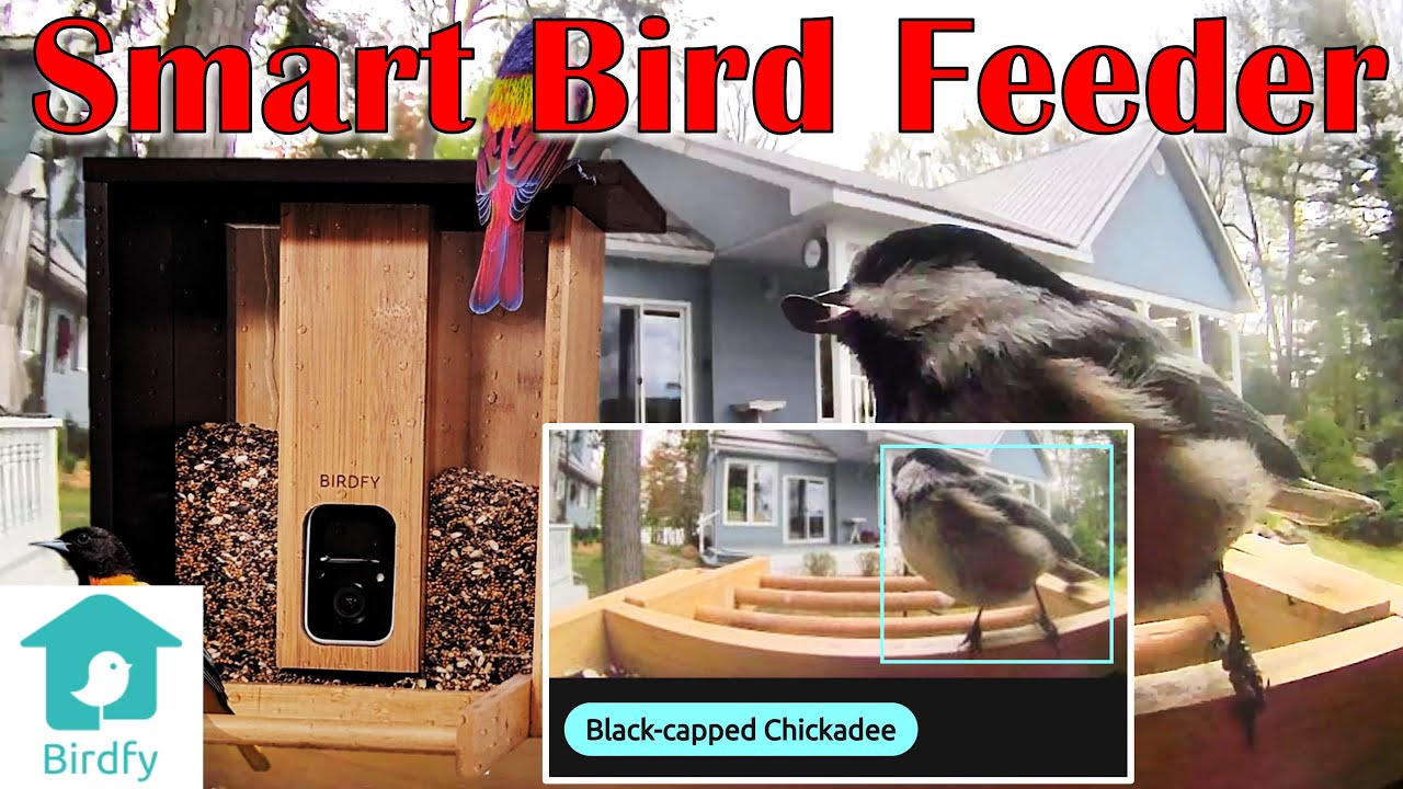 Обзор: кормушка для птиц Birdfy Smart Camera от Netvue