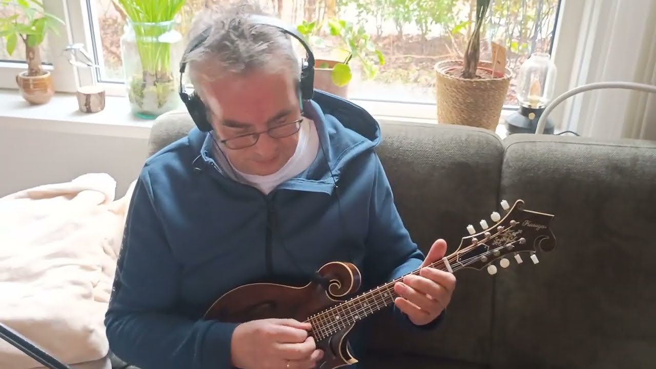 Little Pine Siskin on 1978 Kasuga Mandolin