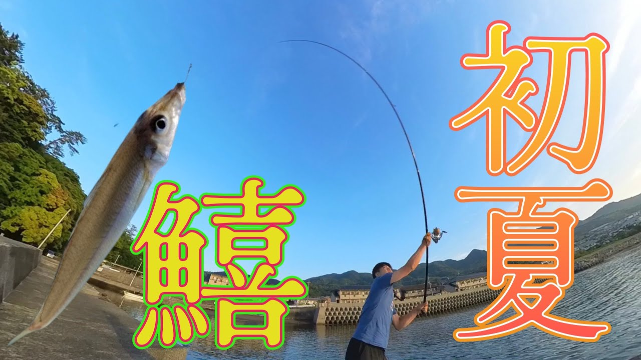 キス釣り大調査‼️梅雨前にキス釣りに行ってみよう