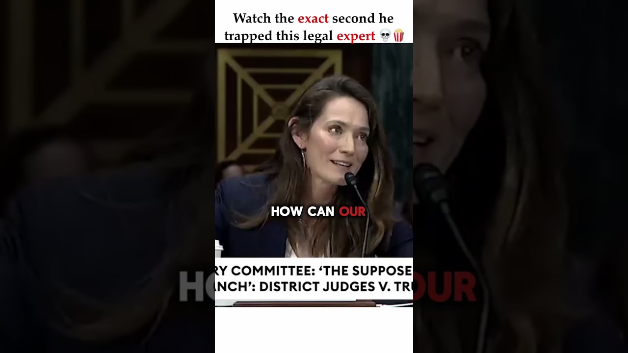 Hawley EXPOSES Legal Expert's Massive Hypocrisy on Live TV 🚨 #joshhawley #news