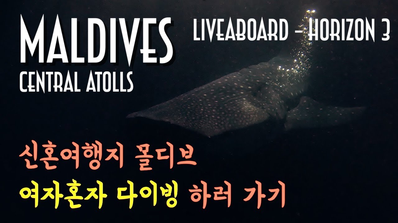 [ENG]🇲🇻신혼여행지 몰디브, 여자혼자 다이빙 하러 가기_EP.1 #몰디브 #liveaboard #몰디브리브어보드 / Maldives LiveABoard