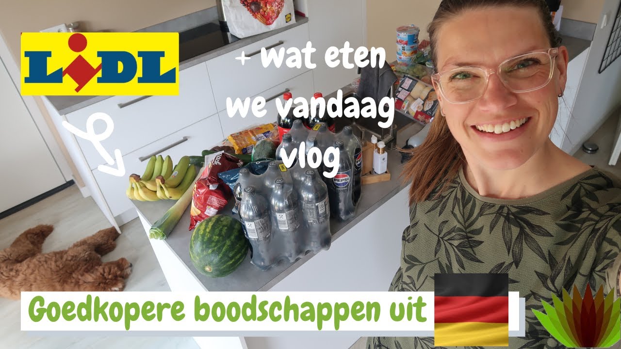 Lidl boodschappen shoplog uit Duitsland + wat eten we vandaag vlog