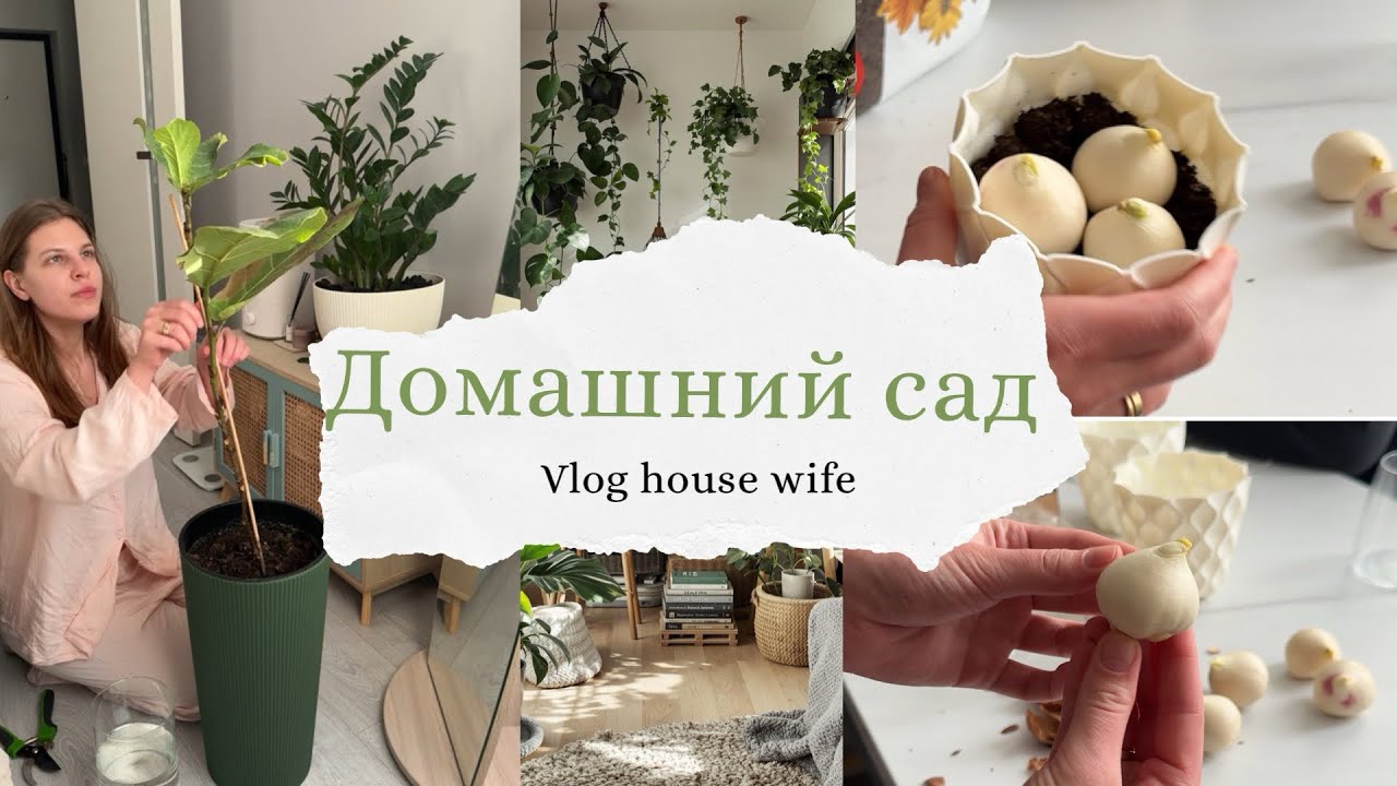Садовый влог |Срезаю и высаживаю заново