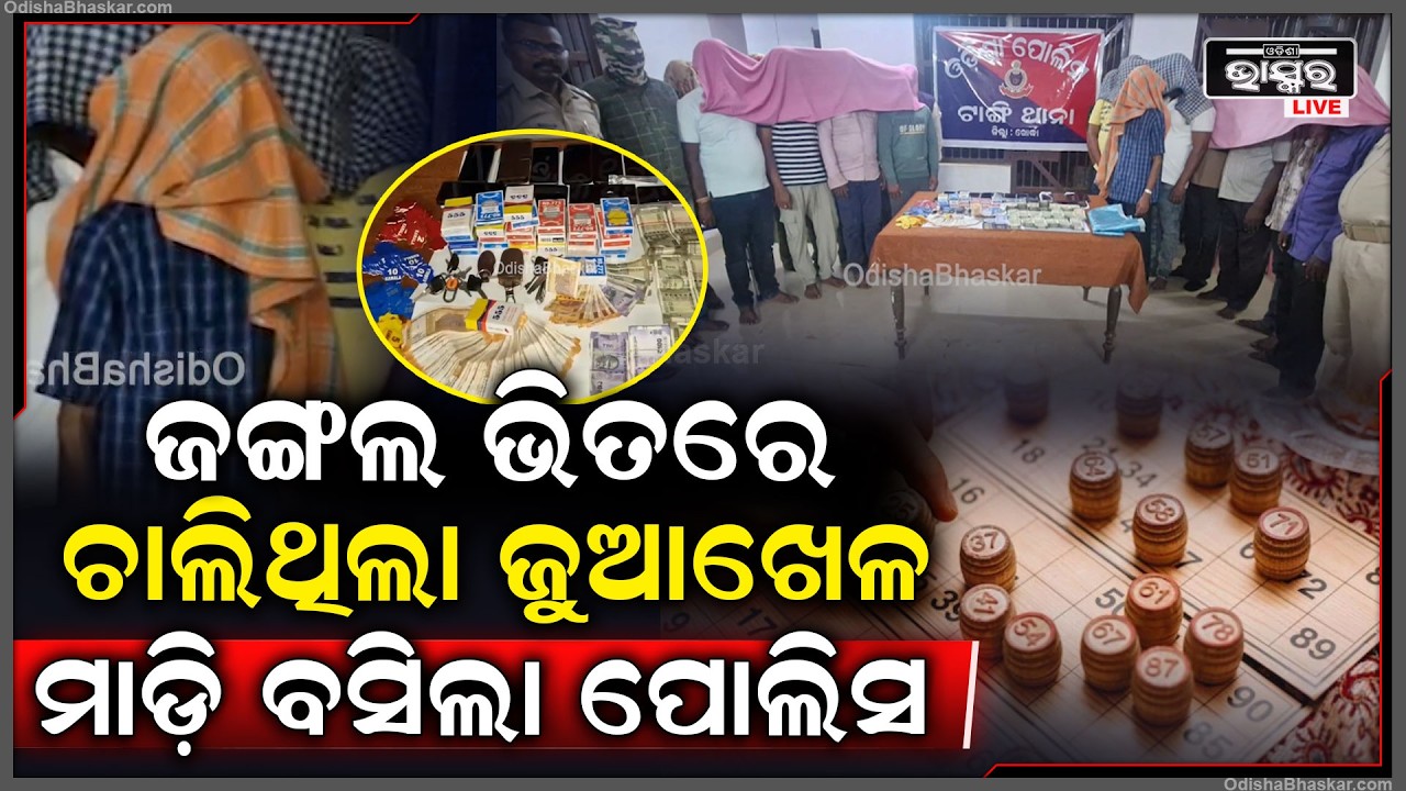 ଜଙ୍ଗଲ ଭିତରେ ଚାଲିଥିଲା ଜୁଆଖେଳ, ସିଭିଲ ଡ୍ରେସ ପିନ୍ଧି ମାଡ଼ି ବସିଲା ପୋଲିସ..ନଗଦ ୧୦ ଲକ୍ଷ ୩୮ ହଜାର ଟଙ୍କା ଜବତ