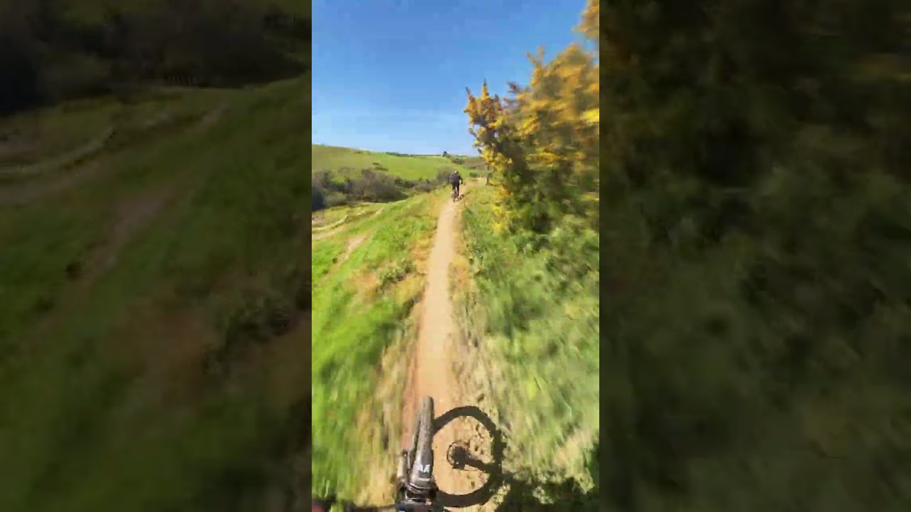 Woodys Bike Park Mulch Jump