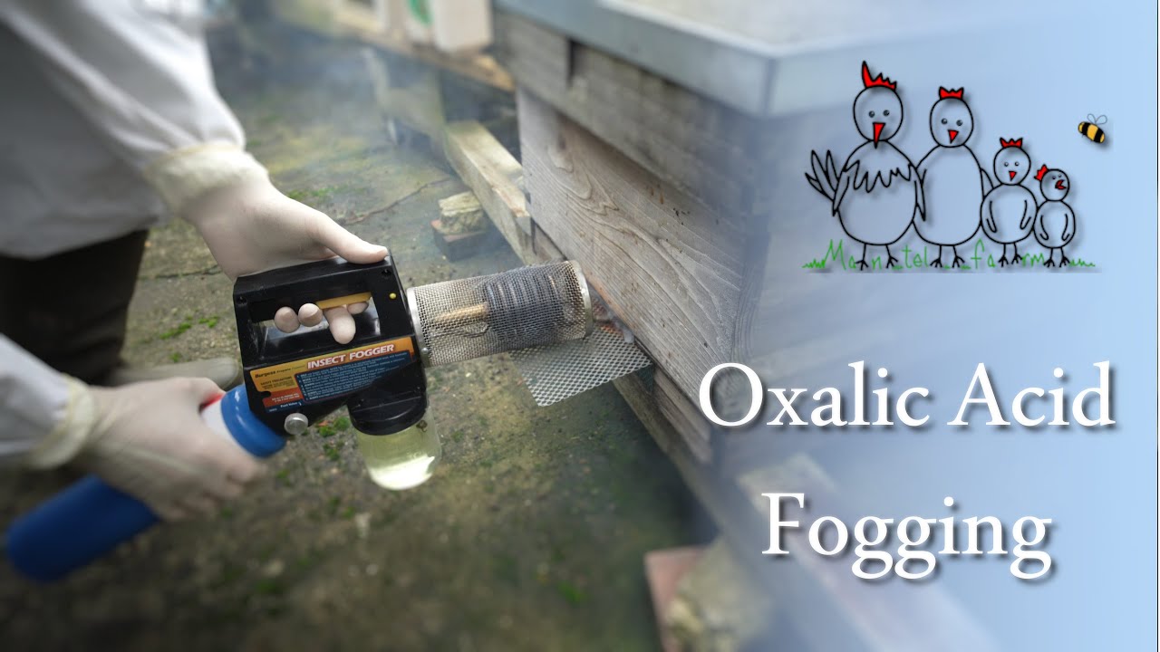 Oxalic Acid Fogging with Master Beekeeper Mike Cullen - Beekeeping @ Mantel Farm