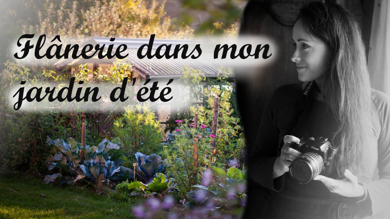Permaculture- Flânerie dans mon jardin d'été