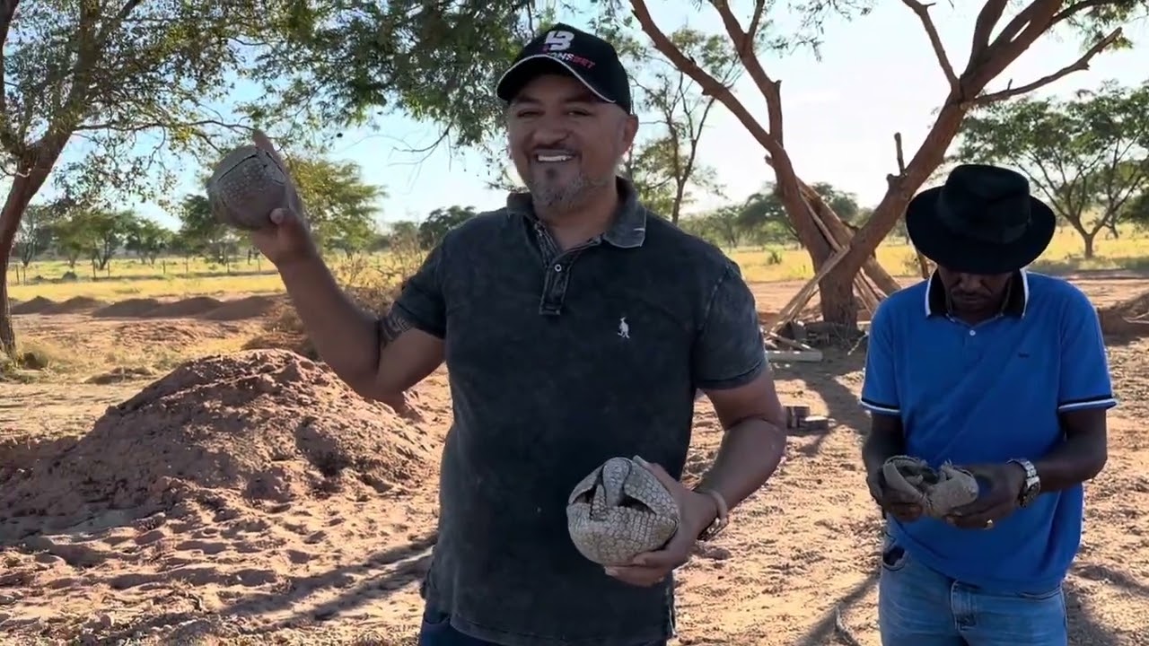 CHARLLES PEGA TÕE LEVANDO 3 TATU BOLA PRA O CURRAL 😂😂 | CHÁCARA COMÉDIA SELVAGEM