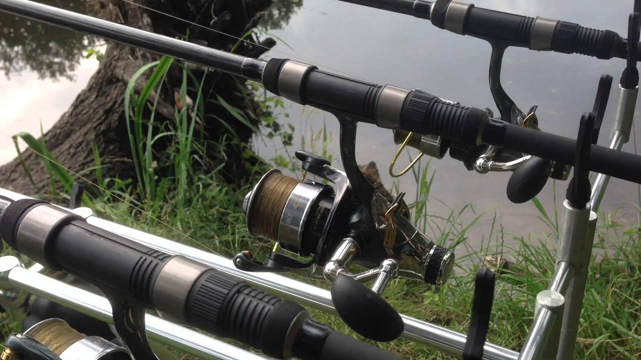 CarpRun, Karpfen Run, Bissanzeiger - SLK Fishing