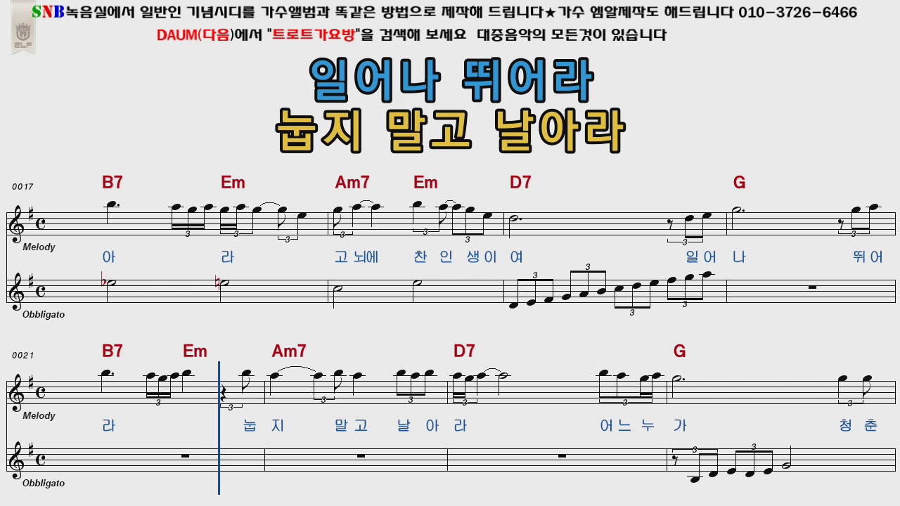 허영란 날개