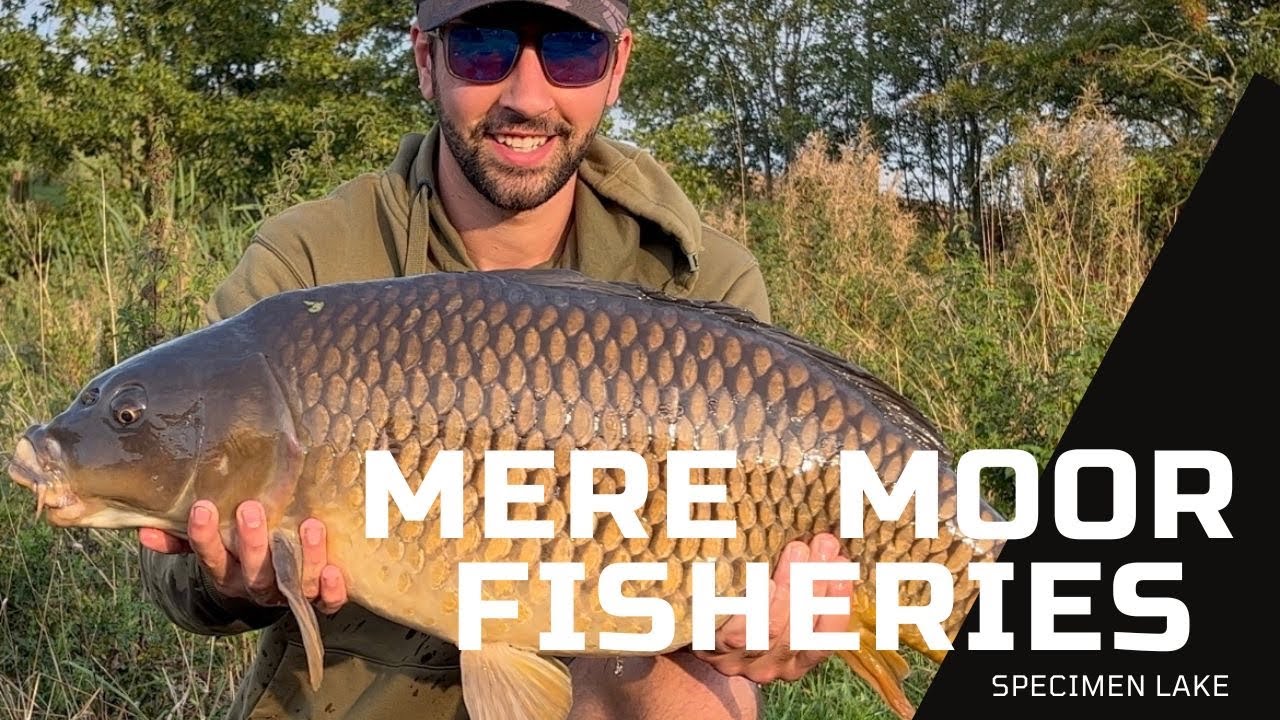 Mere Moor Fisheries - Specimen Lake - Carp Fishing UK - Success