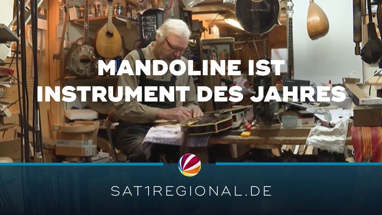 Instrument des Jahres 2023: Mandolinenbauer hat weltweit Kundschaft