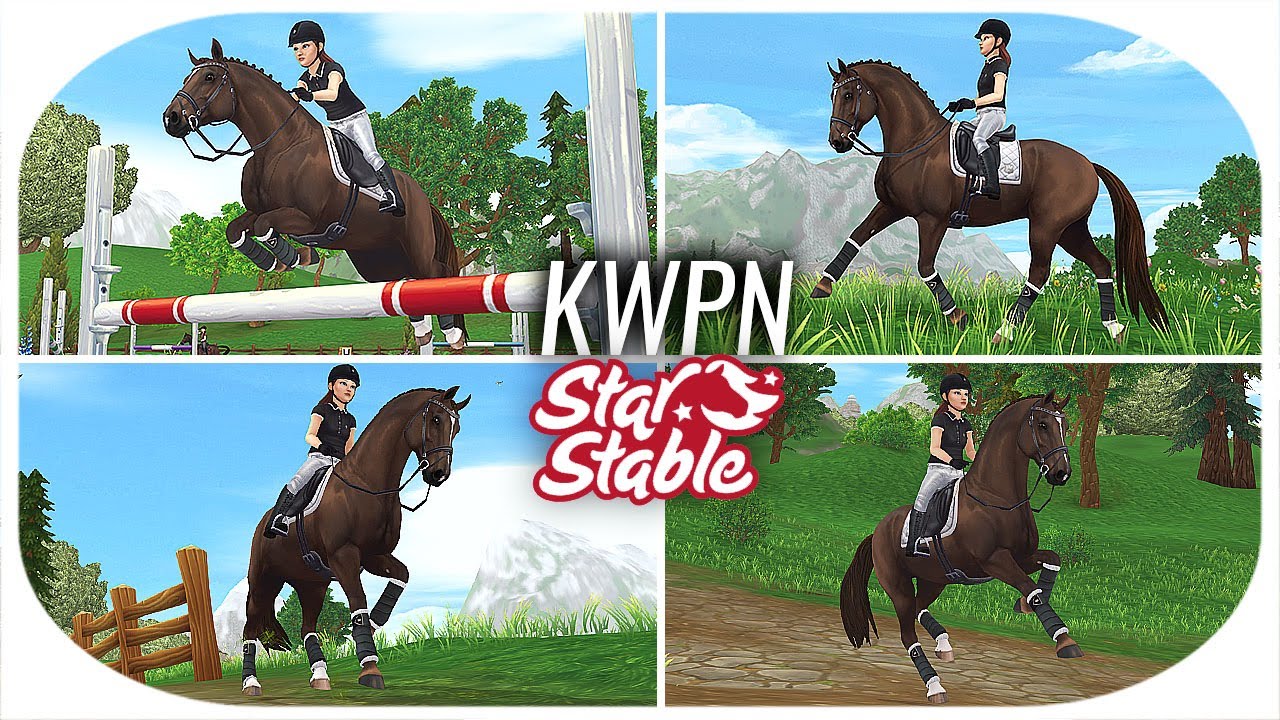 neues SCHÖNSTES PFERD in SSO 😍 KWPN Pferdekauf 🐴 Niederländisches Warmblut | Star Stable