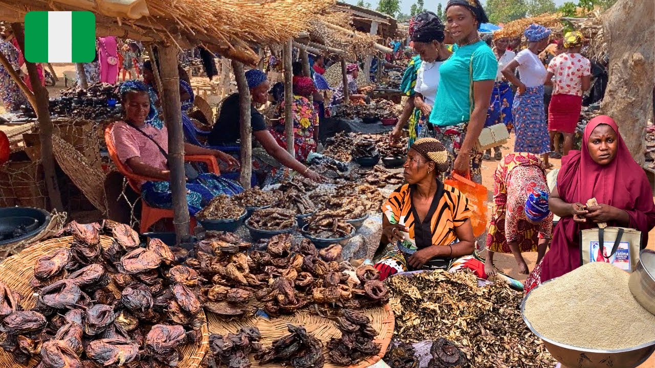 Rural African Market Day in Kaduna Nigeria 🇳🇬 West Africa