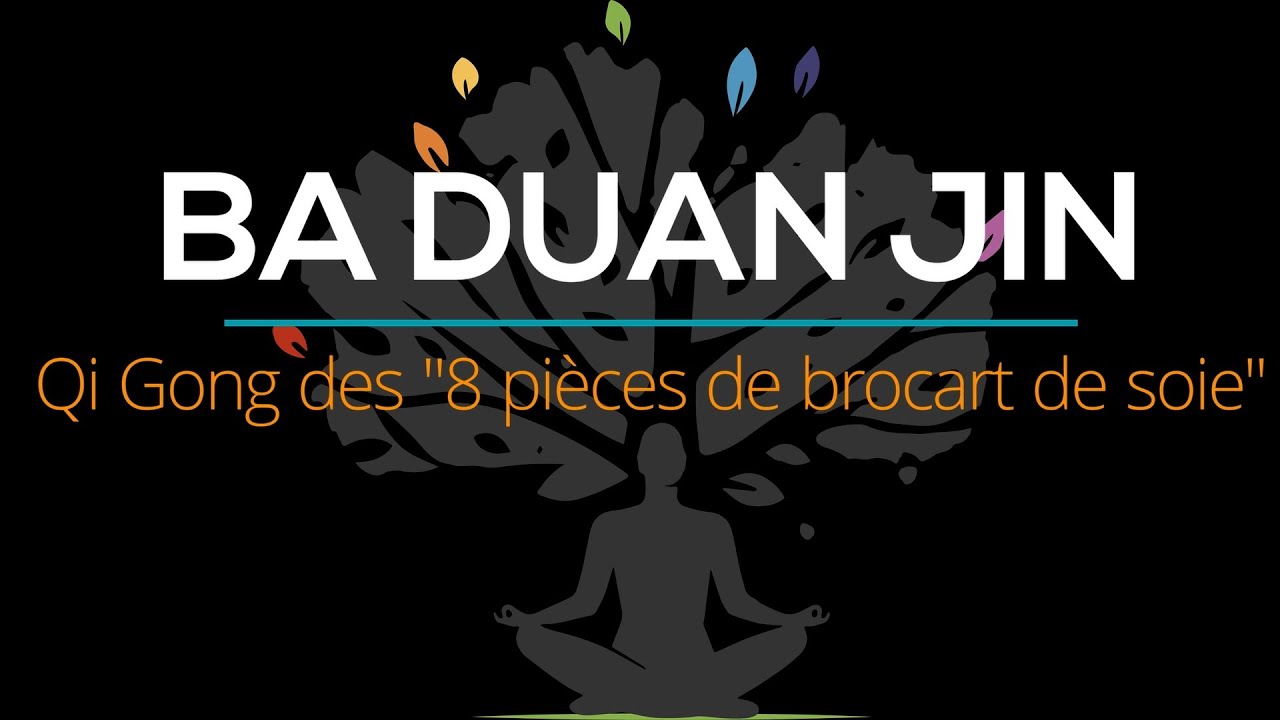 Qi gong - les 8 pièces de brocart de soie - forméozen