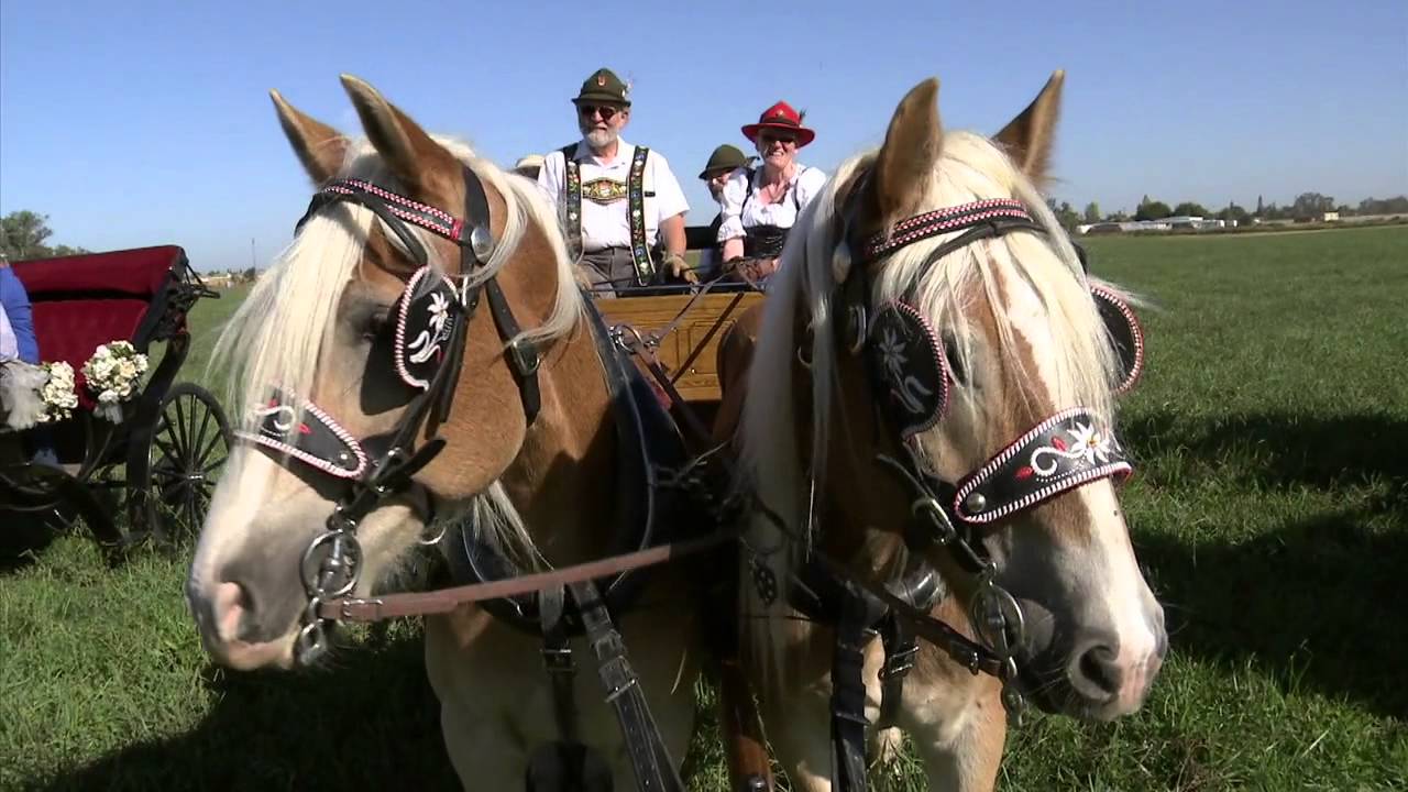 Antique Carriages - America's Heartland