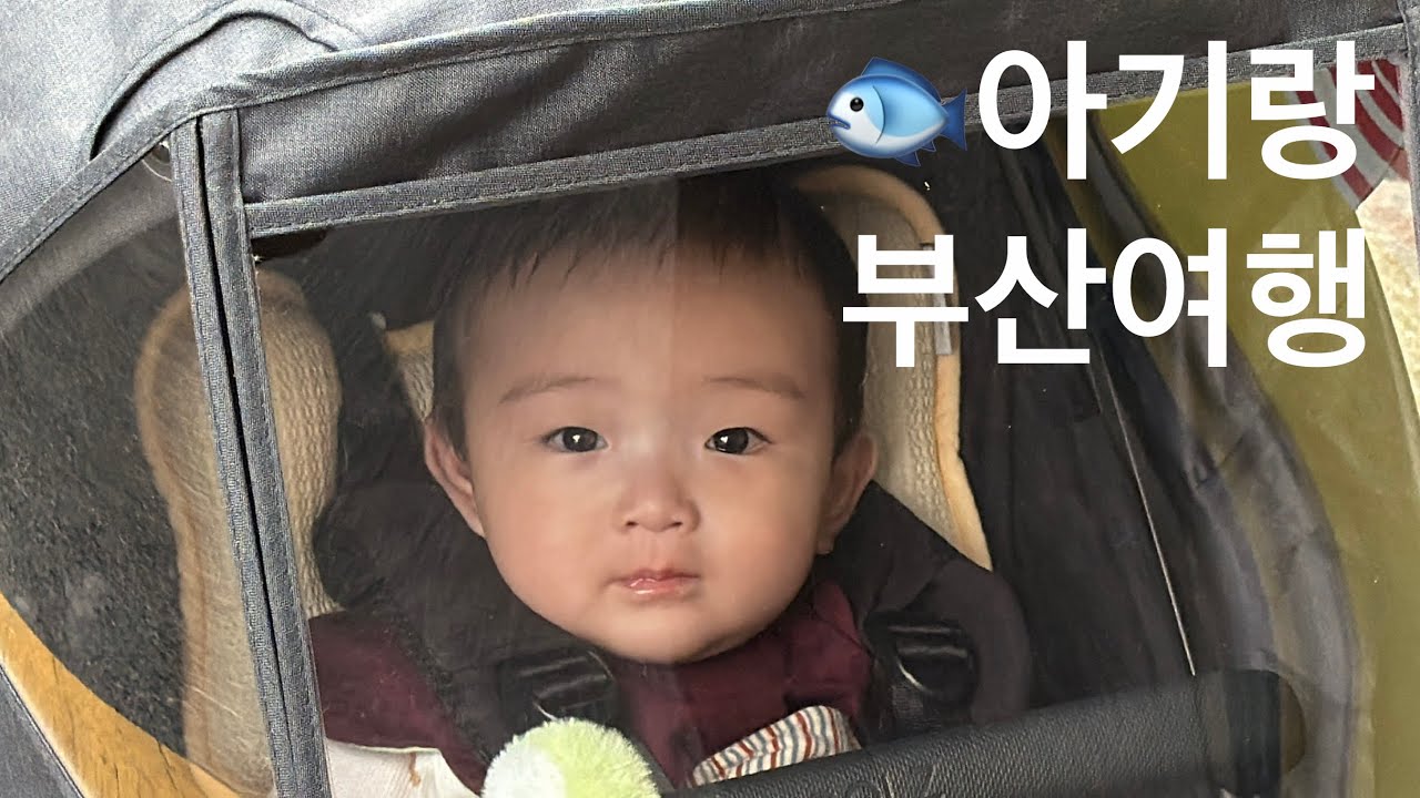 아기랑 부산여행🐟 #국립해양박물관 #돼지국밥 #냉채족발 #씨앗호떡 #부산떡볶이 #완당집 #팥빙수 #자갈치역 #크리스마스이브