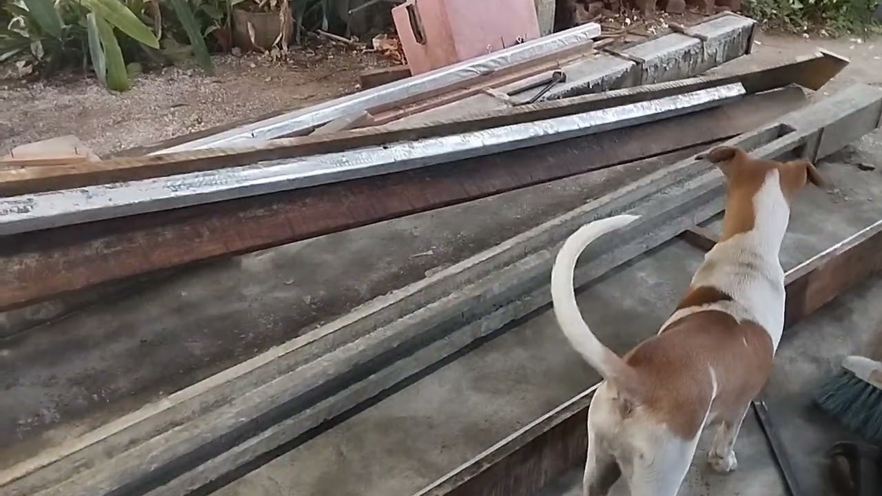 desinformado o pilar T pré moldado