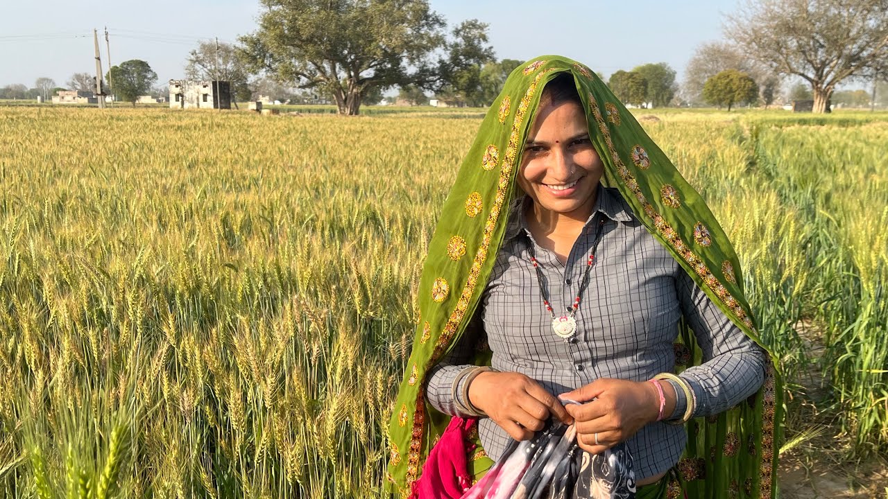 घर मे लड़ाई कर खेत मे जाकर बैठ गई