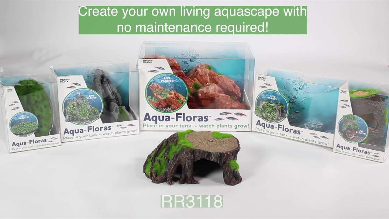 Amazing Aquafloras! Real-Growing Aquatic Resins