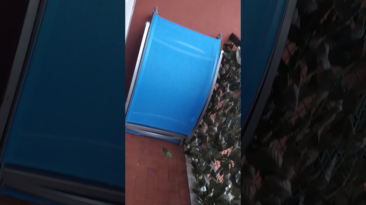 I CITTADINI SI LAMENTANO DELLE CAMPANE DI CAMPANARO DELLA SPEZIA