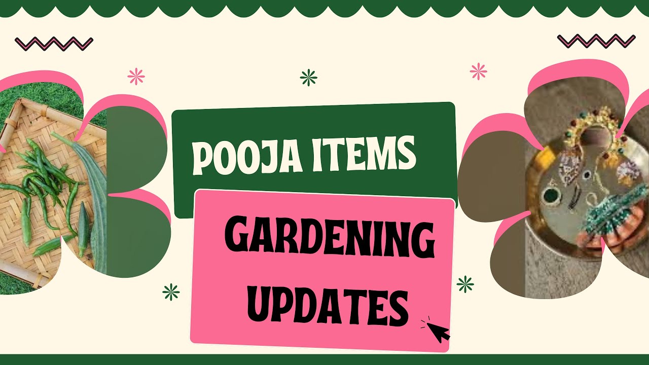 POOJA ITEMS & GARDEN UPDATES