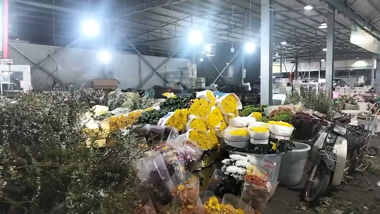 Chợ đầu mối sông Hồng rất nhiều các loại hoa phục vụ Tết 2026 