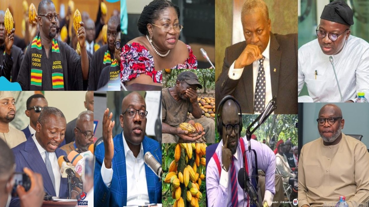Omanhene Sh0cks As Mama Pat Dïsgraces Mahama In Face As NPP MPs Storm Cocoa Farms