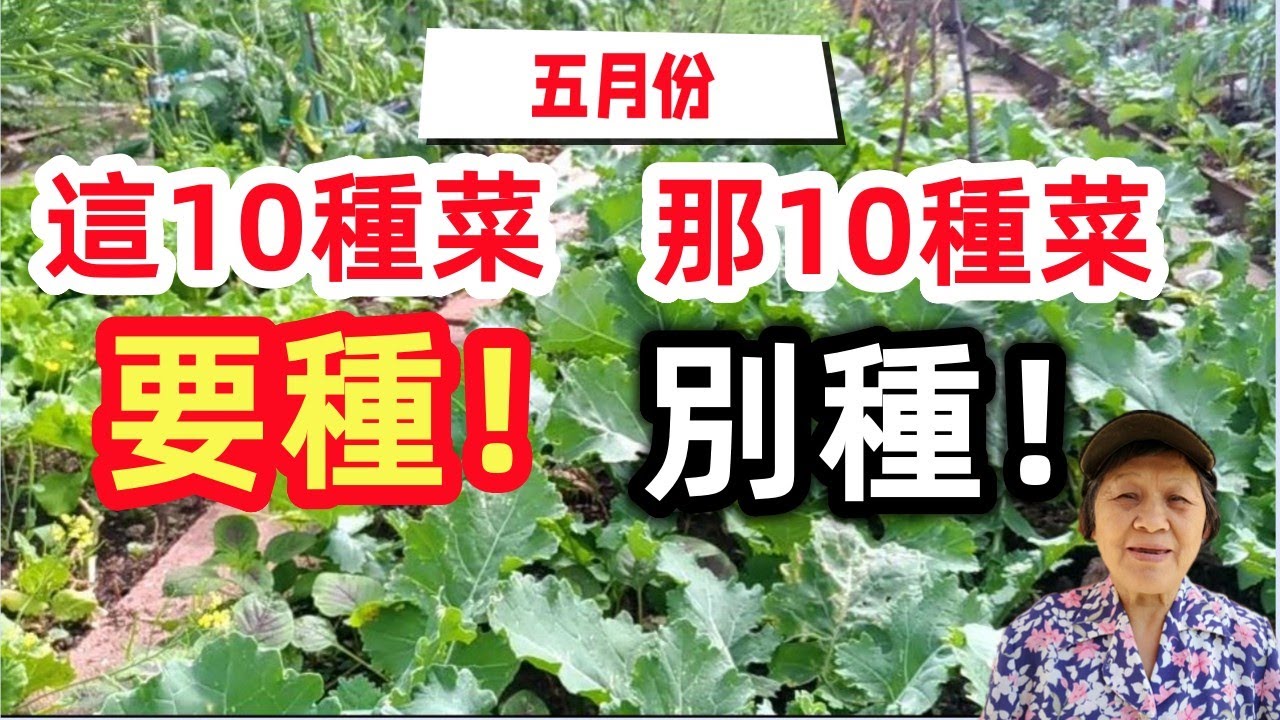 五月種什麼，別種這10种蔬菜，會後悔的，推薦這些蔬菜適合種 Mars Hydro TS3000