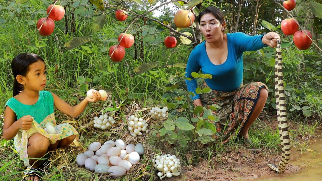 Catch big snake & eggs in forest/ Boiled snake soup & Fry egg with mushroom so delicious
