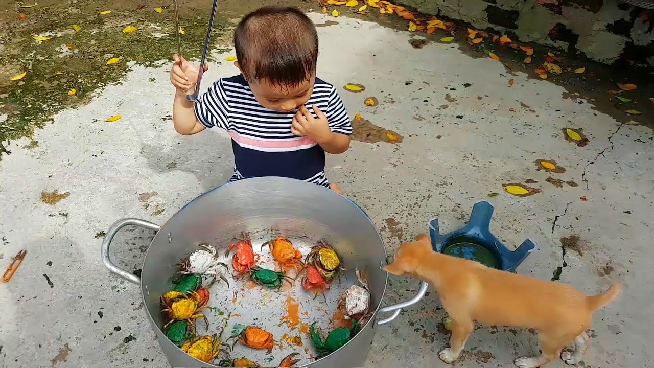 Trò Chơi Tô Màu Con Cua Trong Sân ❤ ChiChi ToysReview TV ❤ Đồ Chơi Song
