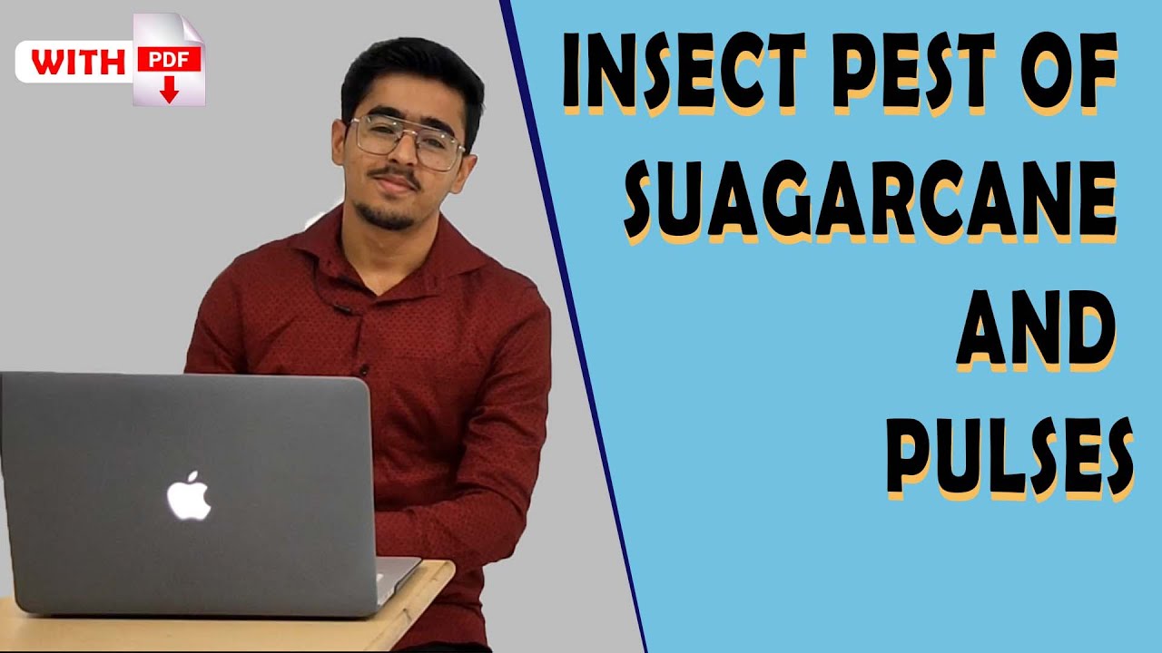 Insect pests of Sugarcane & Pulses ENTO 311