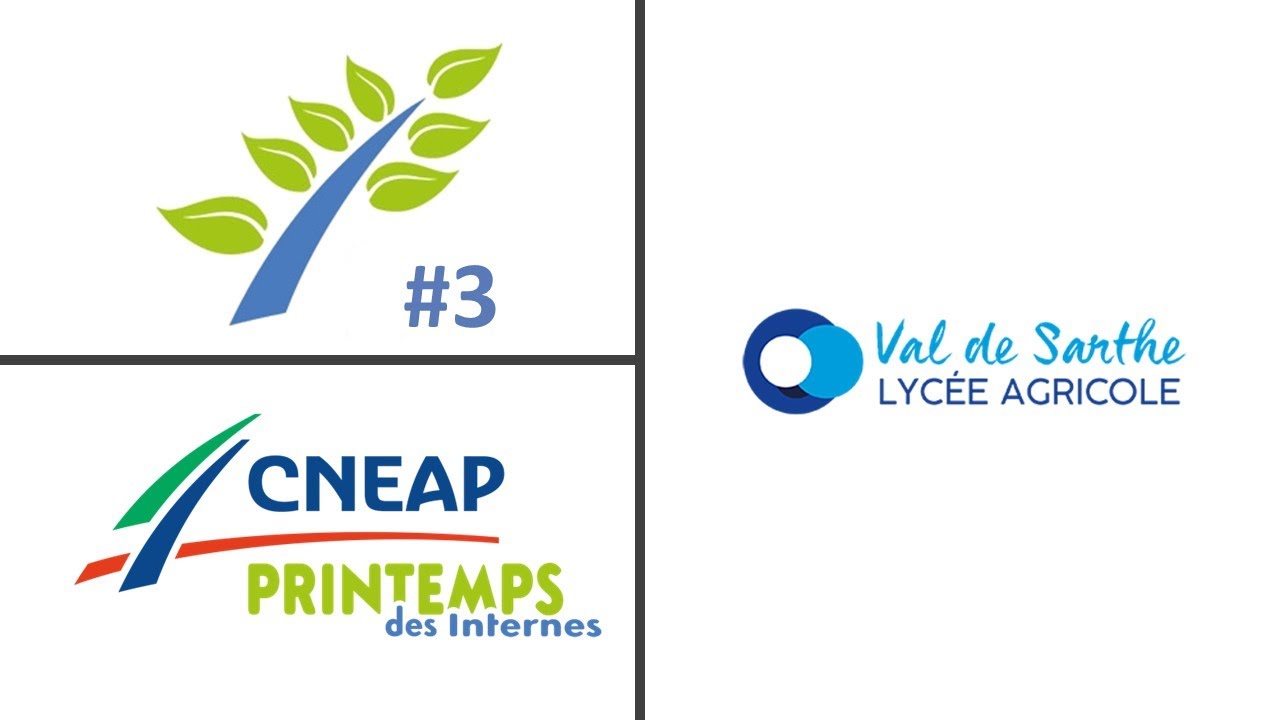 Le Printemps des Internes au Lycée Val de Sarthe de Sablé sur Sarthe