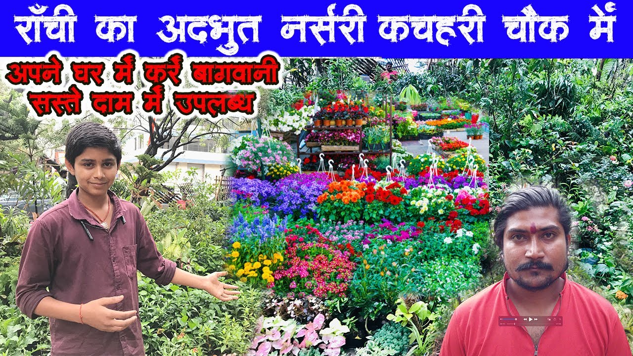 राँची का अद्भुत प्लांट नर्सरी कचहरी चौक में | Ranchi Best Plant Nursary