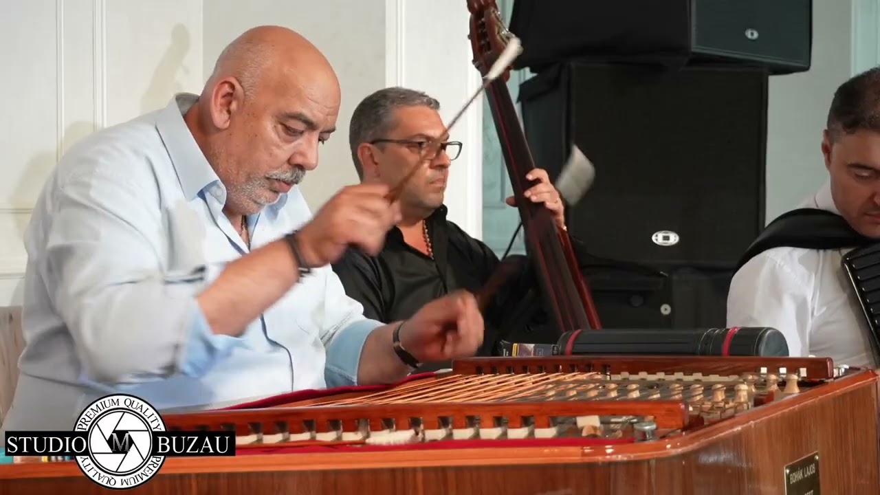 Cristian Cristea   Festivalul Tinerilor Lautari Editia a 4a 2023