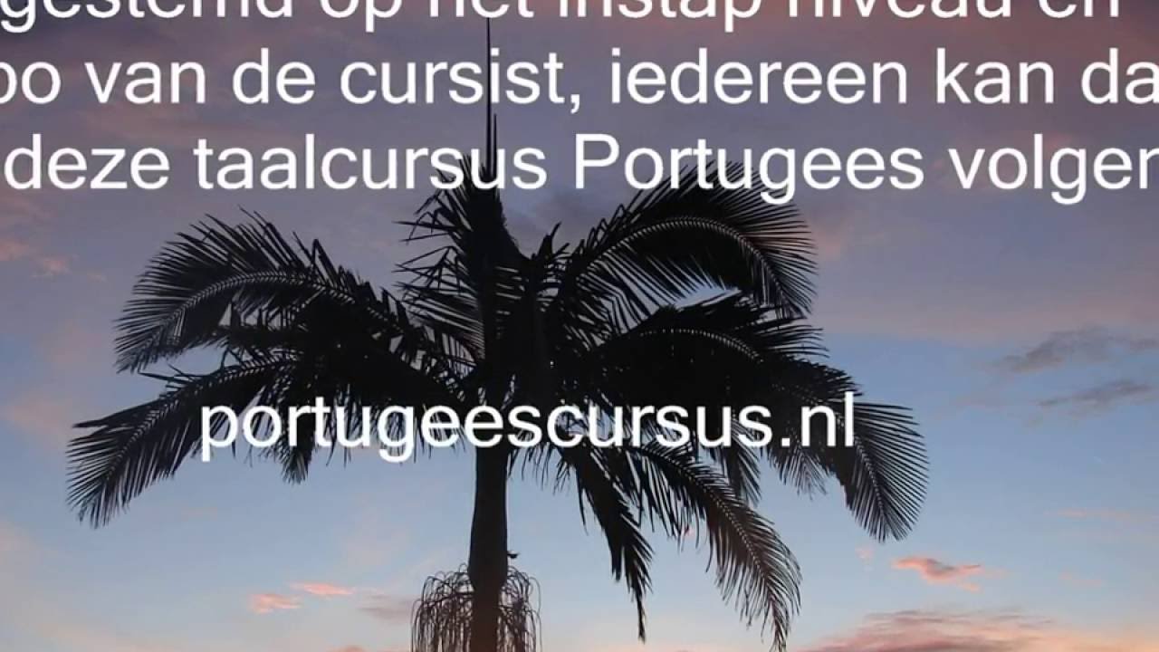 Portugees cursus Brazilie