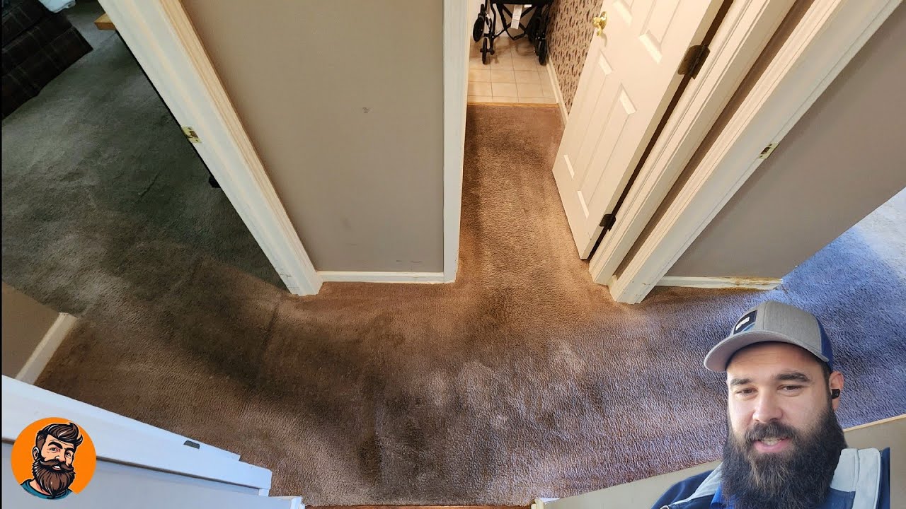 Deep cleaning carpet!