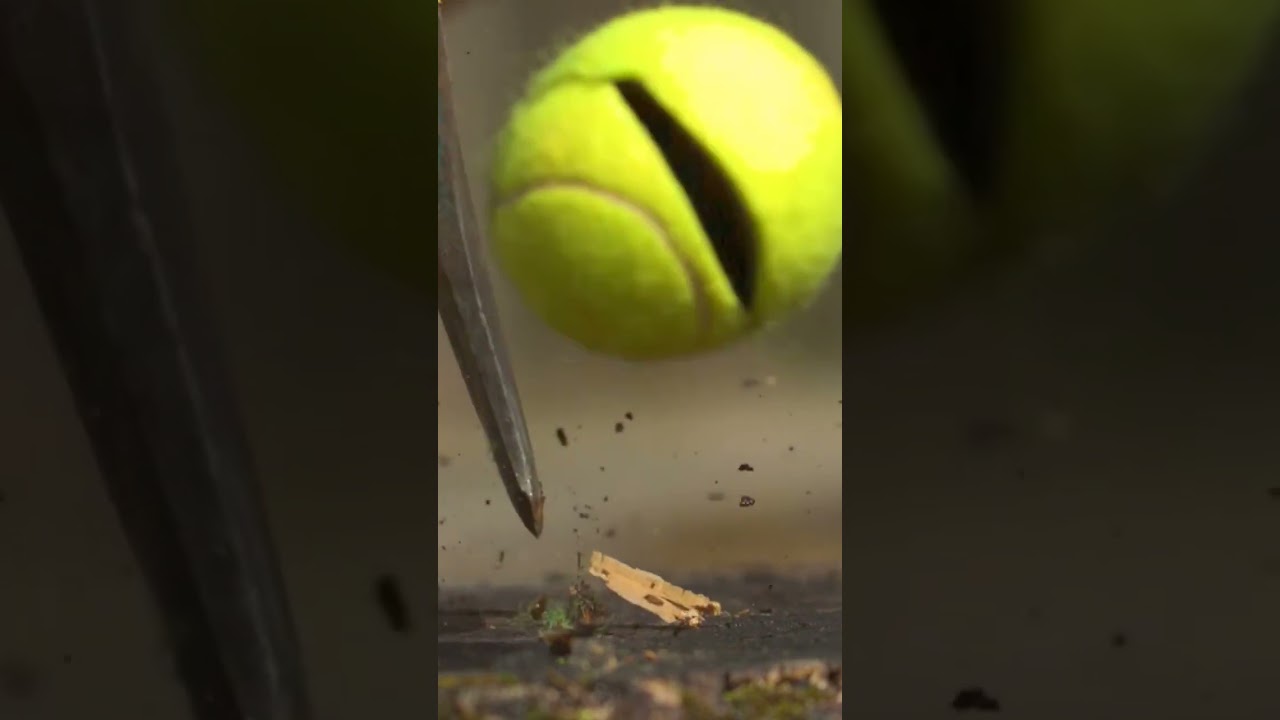 Slow Motion VS Reality #shorts #facts #factsmine