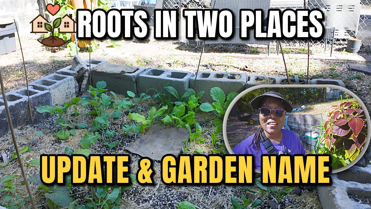 Roots in Two Places | Garden Update & Garden Name Revealed 🌿