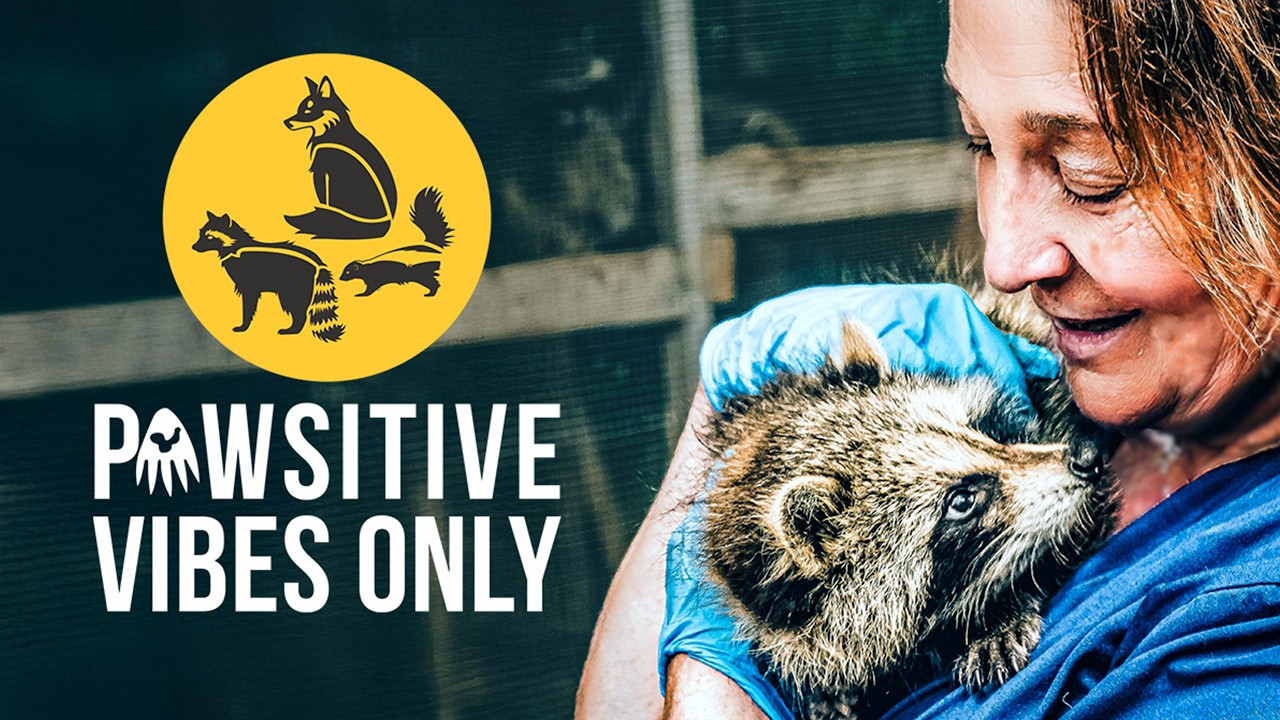 Pawsitive Vibes Only - Exclusive Clip