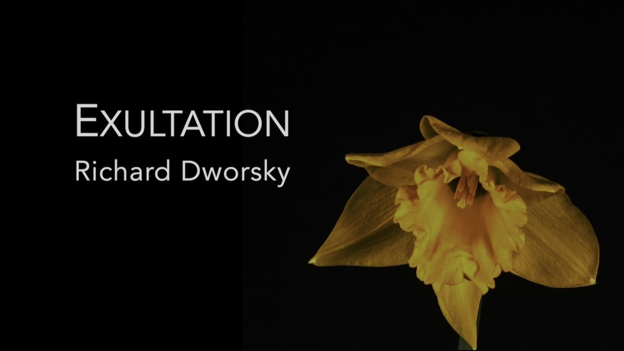 Richard Dworsky - Exultation (Official Music Video)