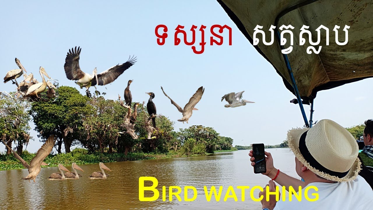 ទស្សនាសត្វស្លាបនៅ ព្រែកទាល់ || BIRD WATCHING IN LARGEST BIRD SACTUARY PREK TOAL IN CAMBODIA