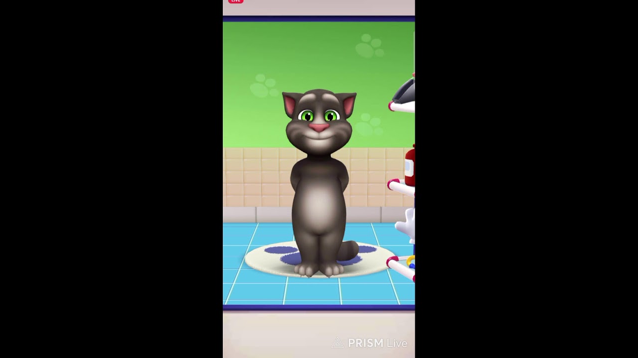 Talking Tom 2