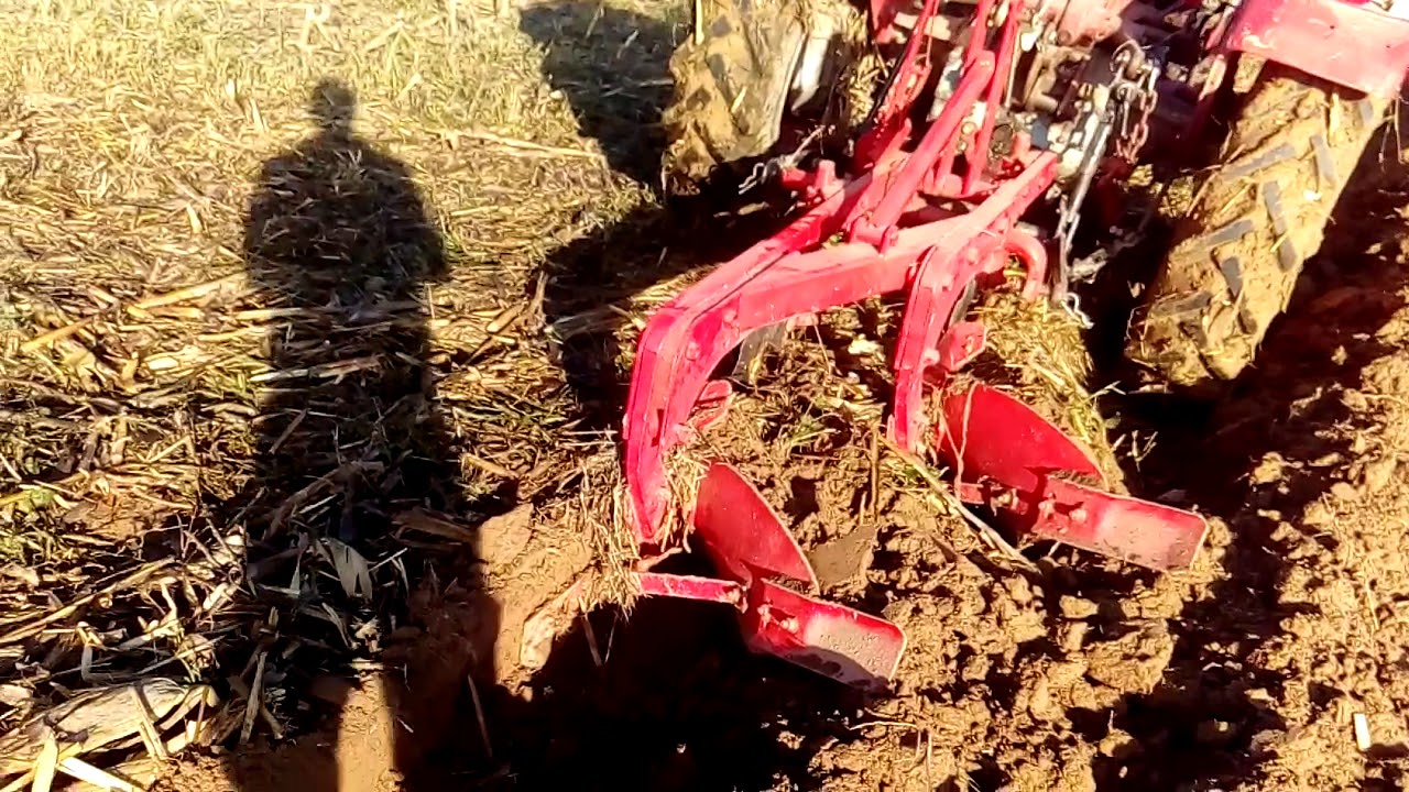 Zimsko oranje Zetor 2511